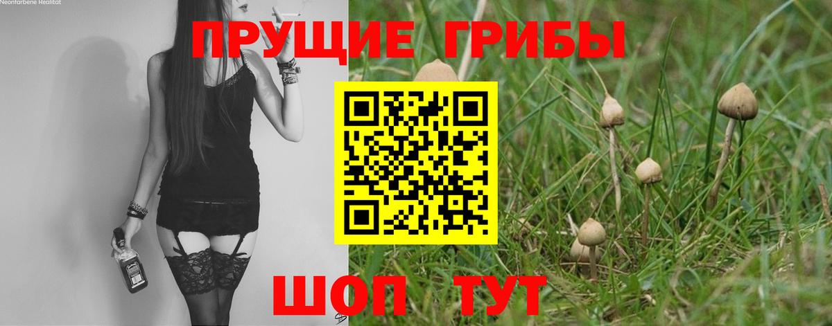 Псилоцибиновые грибы ЛСД  Псилоцибиновые грибы Magic Shrooms  Ахтубинск  сколько стоит  Вход с VPN 